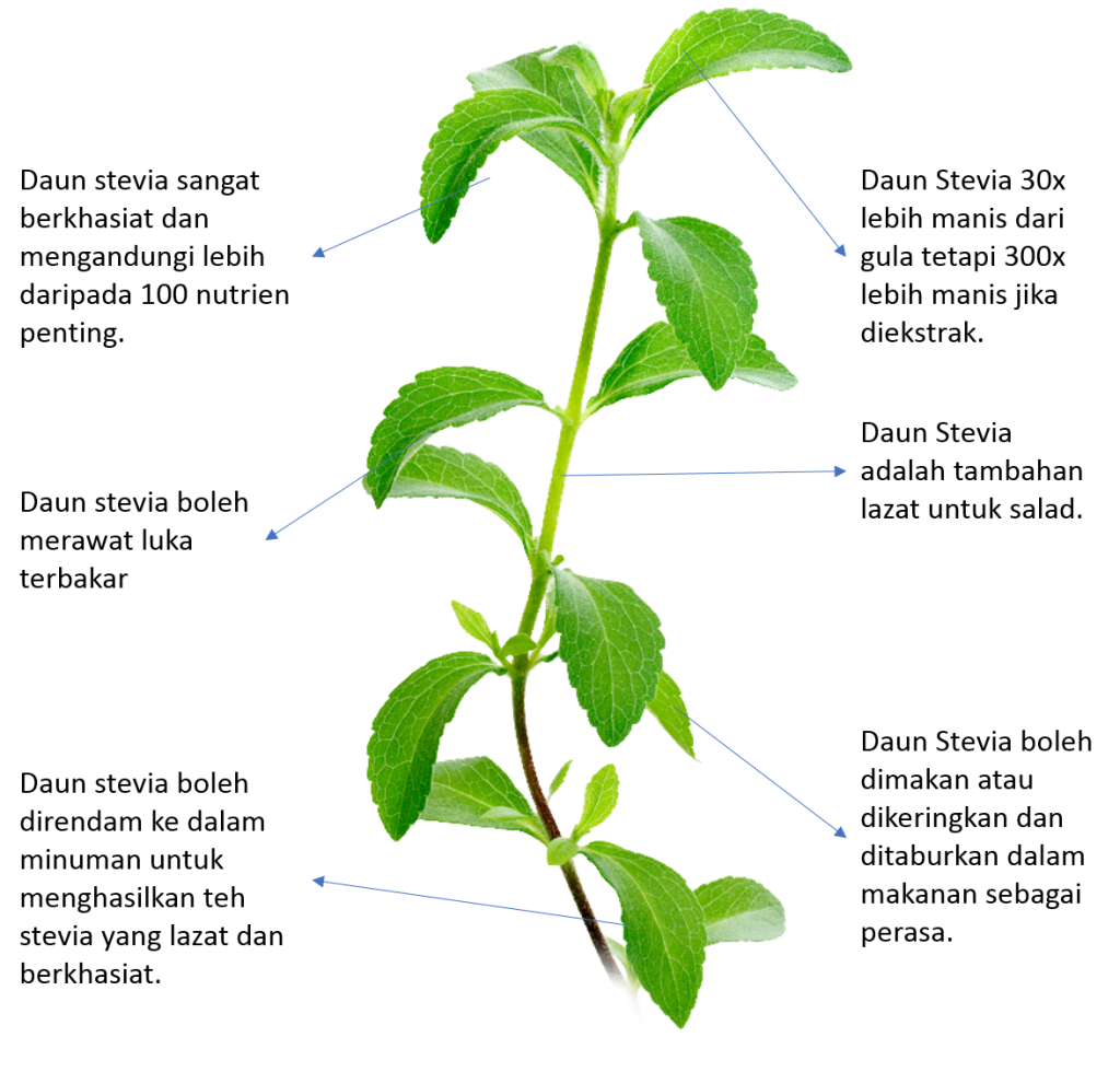 Stevia Sweetener D'CARE